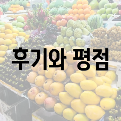 후기와 평점