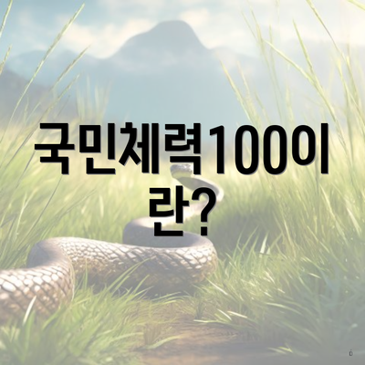 국민체력100이란?