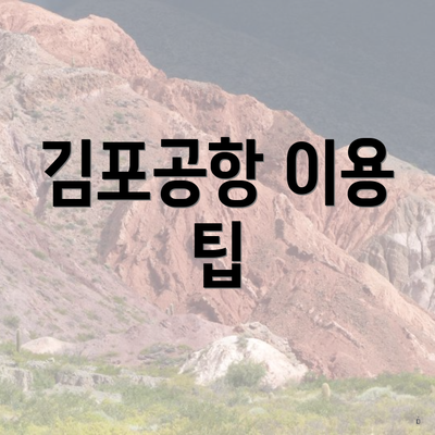 김포공항 이용 팁