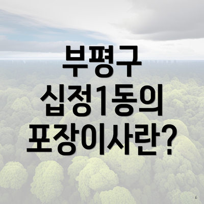 부평구 십정1동의 포장이사란?