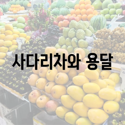 사다리차와 용달