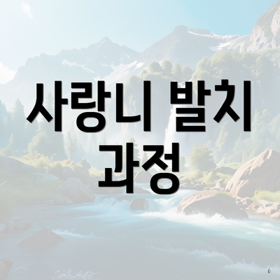 사랑니 발치 과정