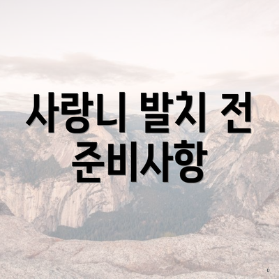 사랑니 발치 전 준비사항