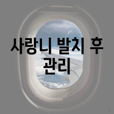 사랑니 발치 후 관리