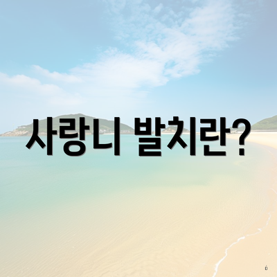 사랑니 발치란?