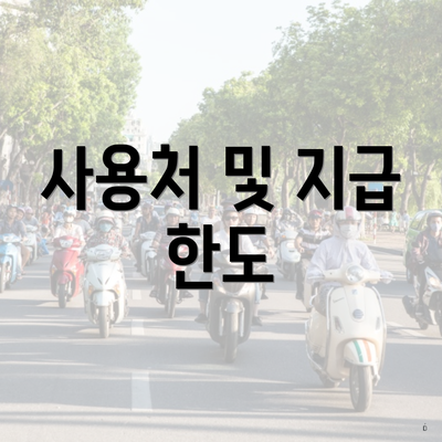 사용처 및 지급 한도