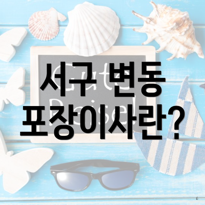 서구 변동 포장이사란?