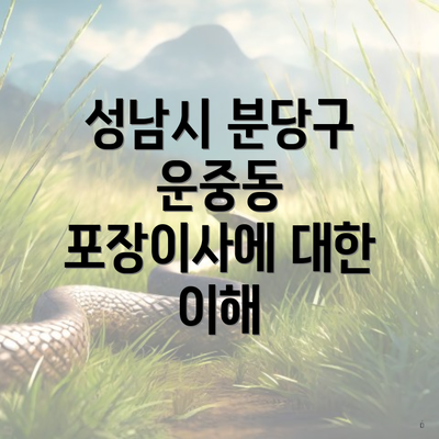 성남시 분당구 운중동 포장이사에 대한 이해