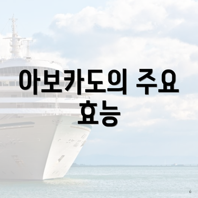 아보카도의 주요 효능