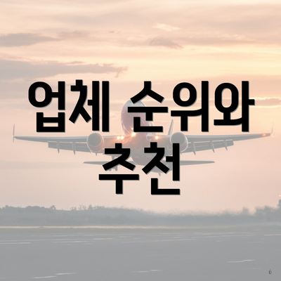 업체 순위와 추천