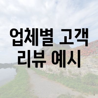 업체별 고객 리뷰 예시