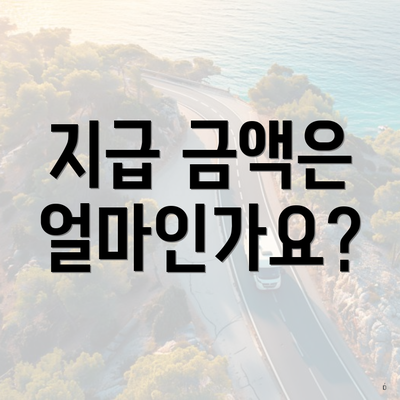 지급 금액은 얼마인가요?
