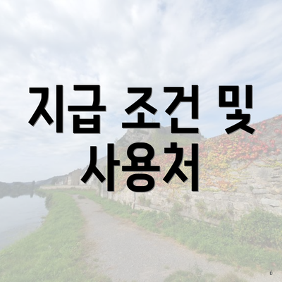 지급 조건 및 사용처