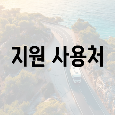 지원 사용처