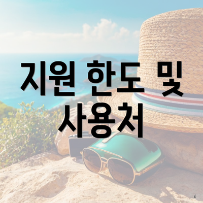 지원 한도 및 사용처