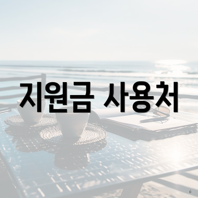 지원금 사용처