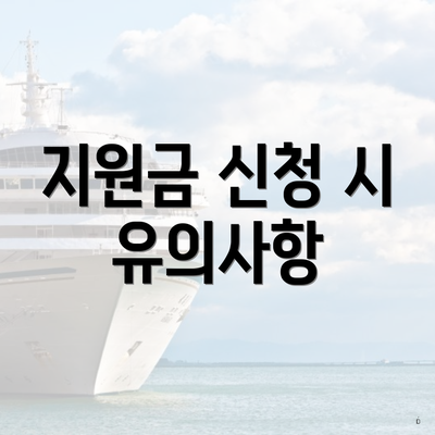 지원금 신청 시 유의사항