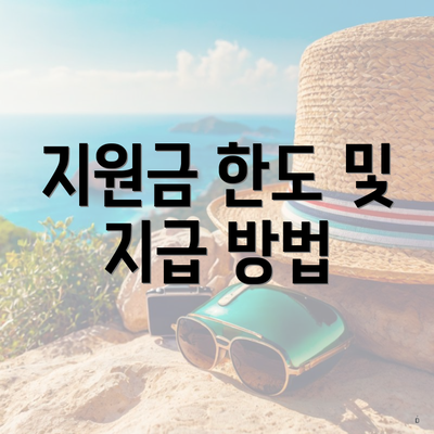 지원금 한도 및 지급 방법