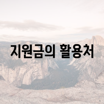 지원금의 활용처