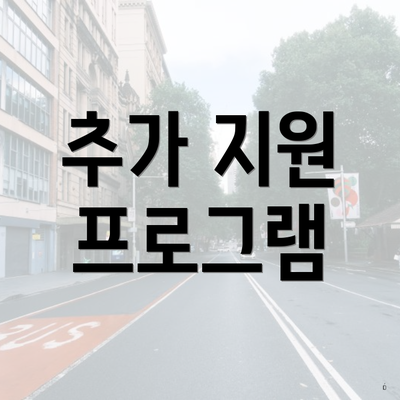 추가 지원 프로그램