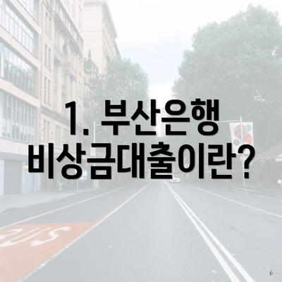 1. 부산은행 비상금대출이란?