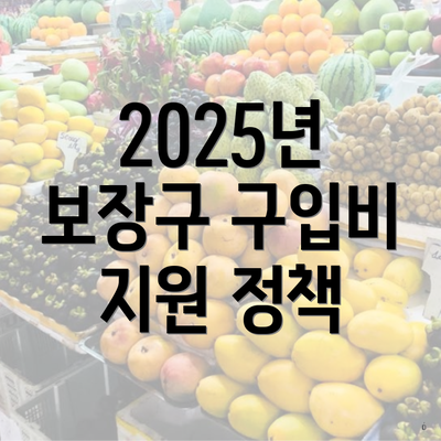 2025년 보장구 구입비 지원 정책