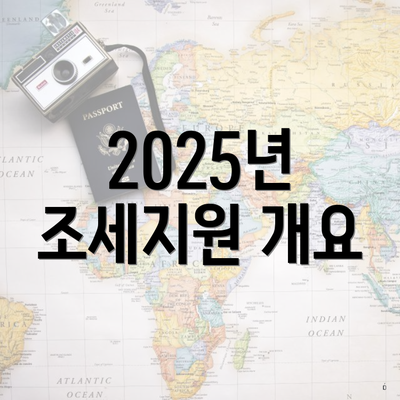 2025년 조세지원 개요