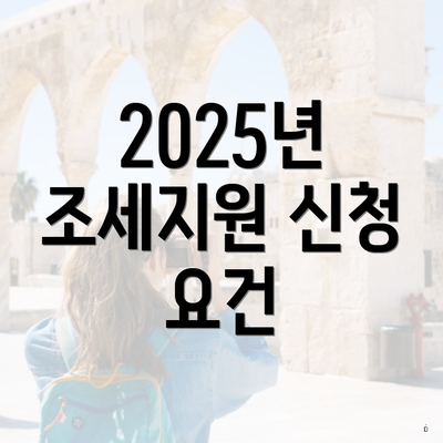 2025년 조세지원 신청 요건