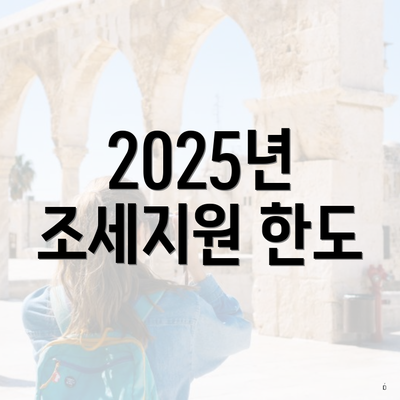 2025년 조세지원 한도