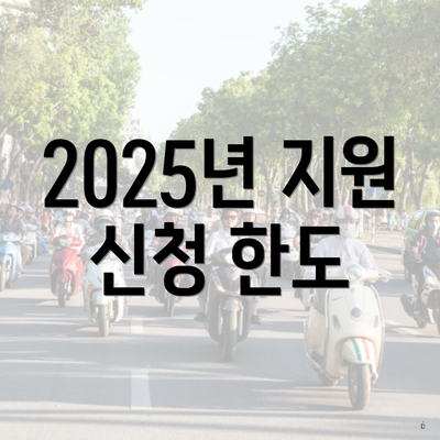 2025년 지원 신청 한도