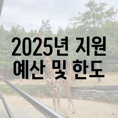 2025년 지원 예산 및 한도