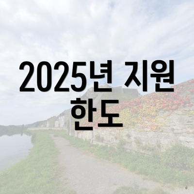 2025년 지원 한도