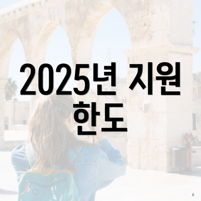 2025년 지원 한도