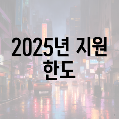 2025년 지원 한도