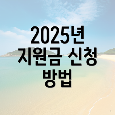2025년 지원금 신청 방법