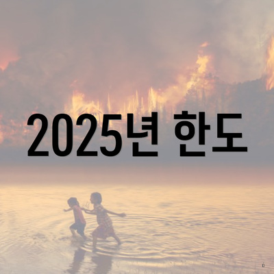 2025년 한도