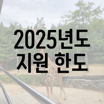 2025년도 지원 한도