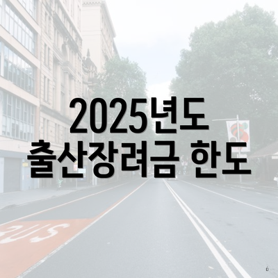 2025년도 출산장려금 한도