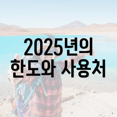 2025년의 한도와 사용처