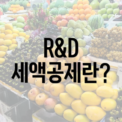 R&D 세액공제란?