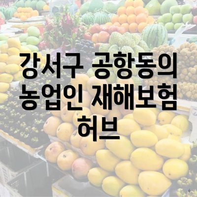 강서구 공항동의 농업인 재해보험 허브