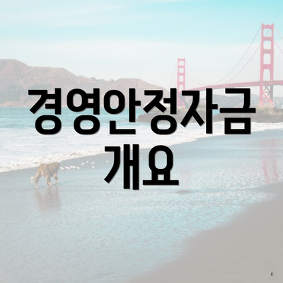 경영안정자금 개요