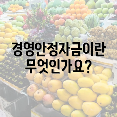 경영안정자금이란 무엇인가요?