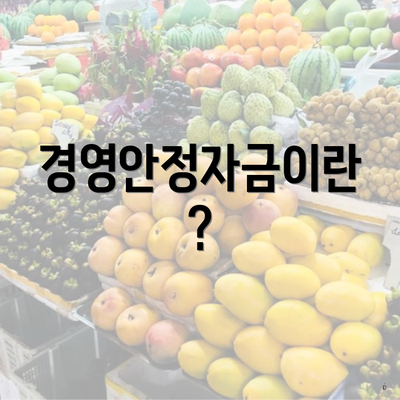 경영안정자금이란?