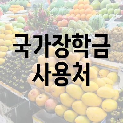 국가장학금 사용처