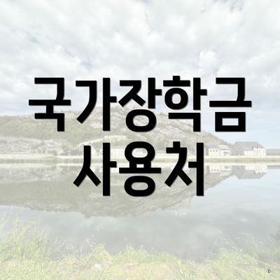 국가장학금 사용처