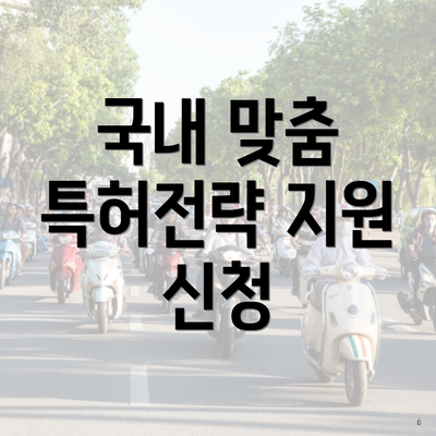 국내 맞춤 특허전략 지원 신청