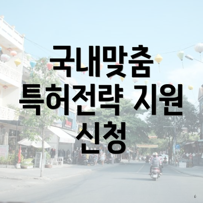 국내맞춤 특허전략 지원 신청