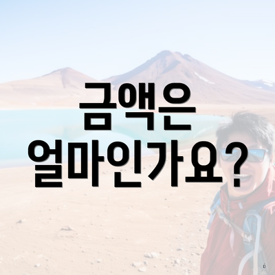 금액은 얼마인가요?