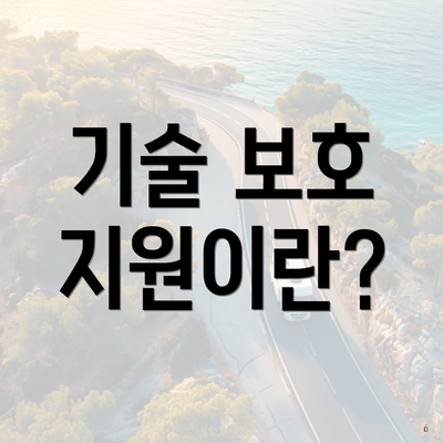 기술 보호 지원이란?